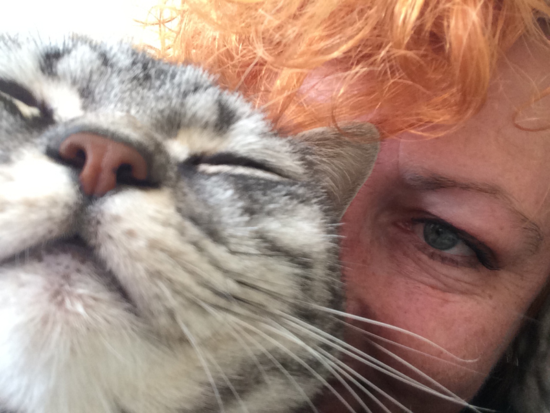 Selfie with Cat 10